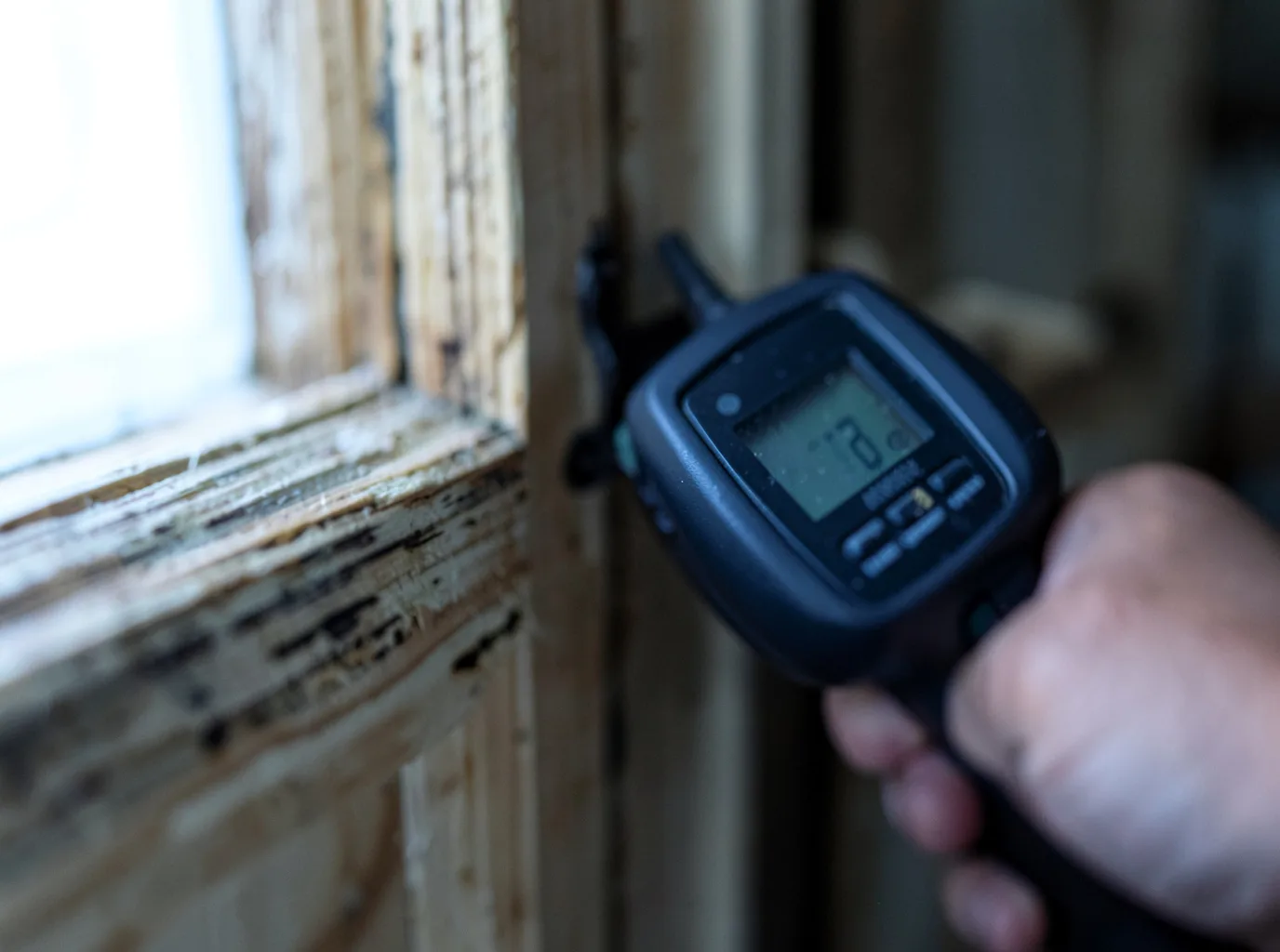 Moisture Inspection And Documentation in Morovis, PR